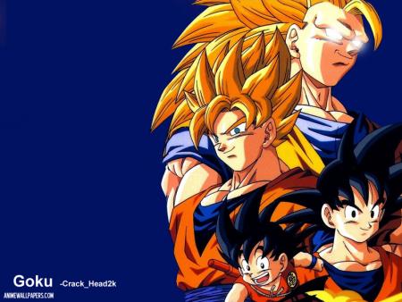 l'évolution de san goku