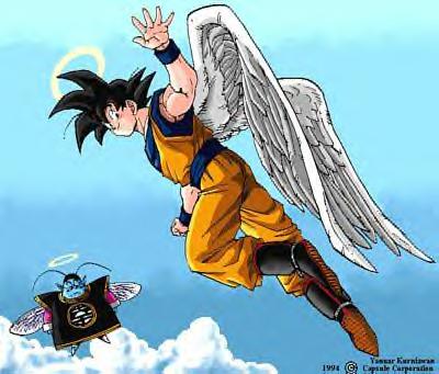 san goku