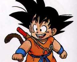san goku petit