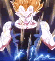 végéta ssj