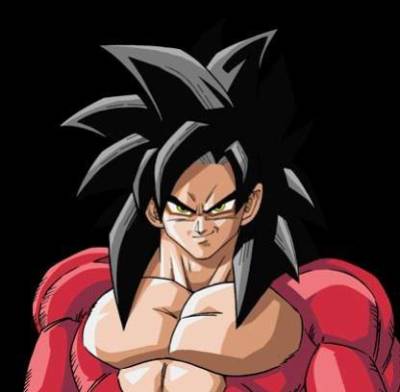 san goku ssj4