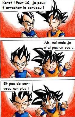 casser san goku